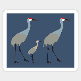 Sandhill cranes with baby Magnet